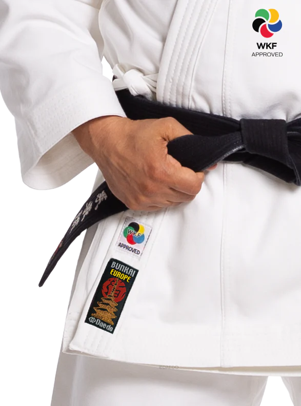 KARATEGI "BUNKAI EUROPE" - Image 3