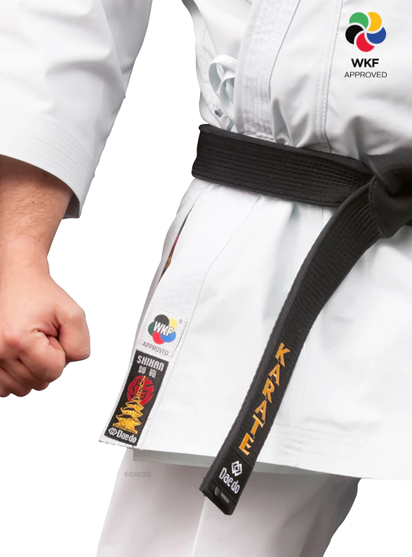KARATEGI "BUNKAI MASTER" - Image 3
